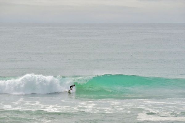 Surfing